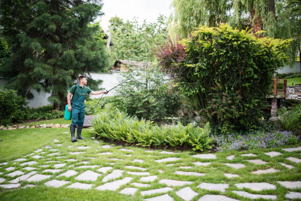 Best Affordable Pest Control Services  in Belvedere, SC