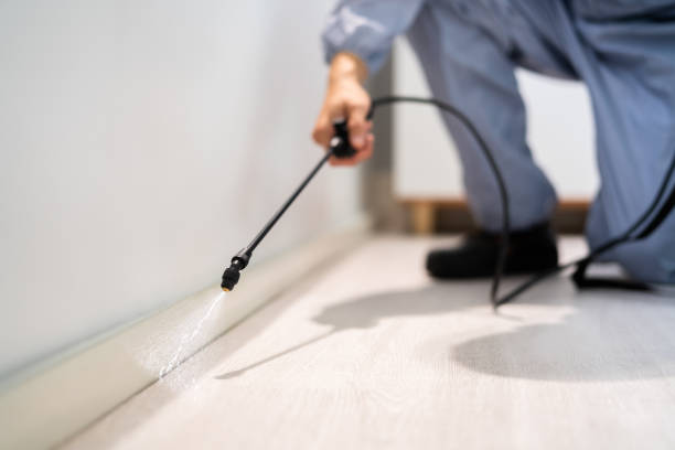 Flea Control Services in Belvedere, SC