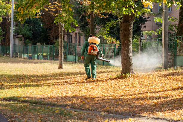 Trusted Belvedere, SC Pest Control Experts