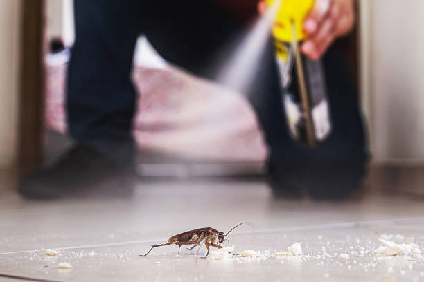 Best Emergency Pest Control  in Belvedere, SC