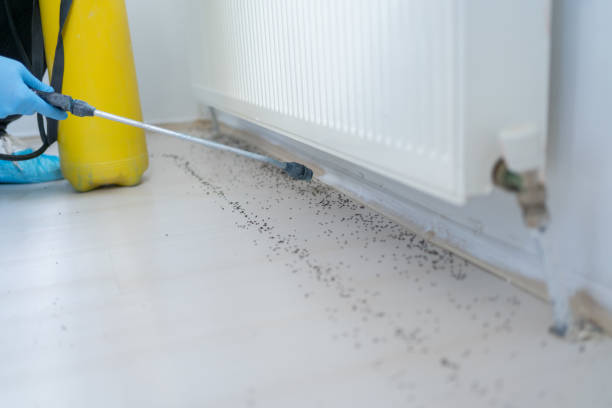  Belvedere, SC Pest Control Pros